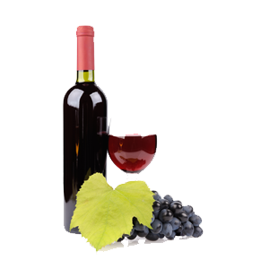 vini terracina